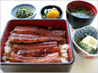 料理長おまかせ